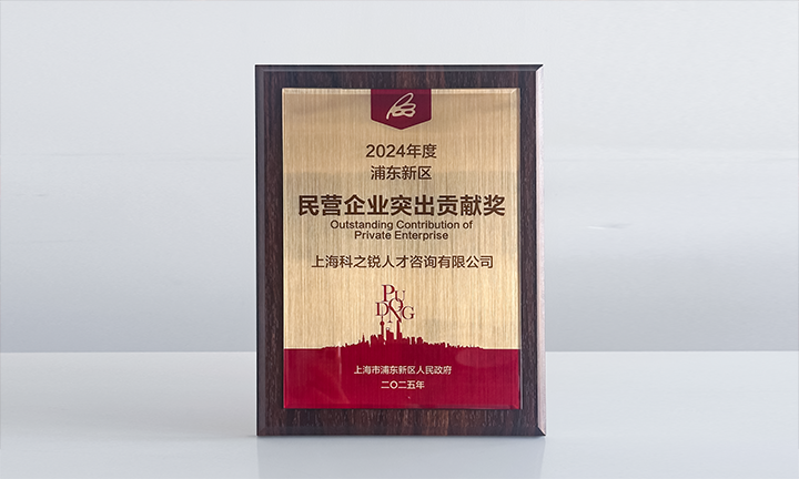 人力资源供应商kdpay钱包官网国际凭借人才服务与在区域经济开展中的卓越表现荣膺2024年度浦东新区民营企业奖项